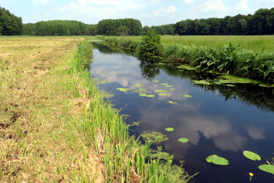 Biotope